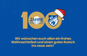 Mehr über den Artikel erfahren Frohe Weihnachten und einen guten Start ins neue Jahr